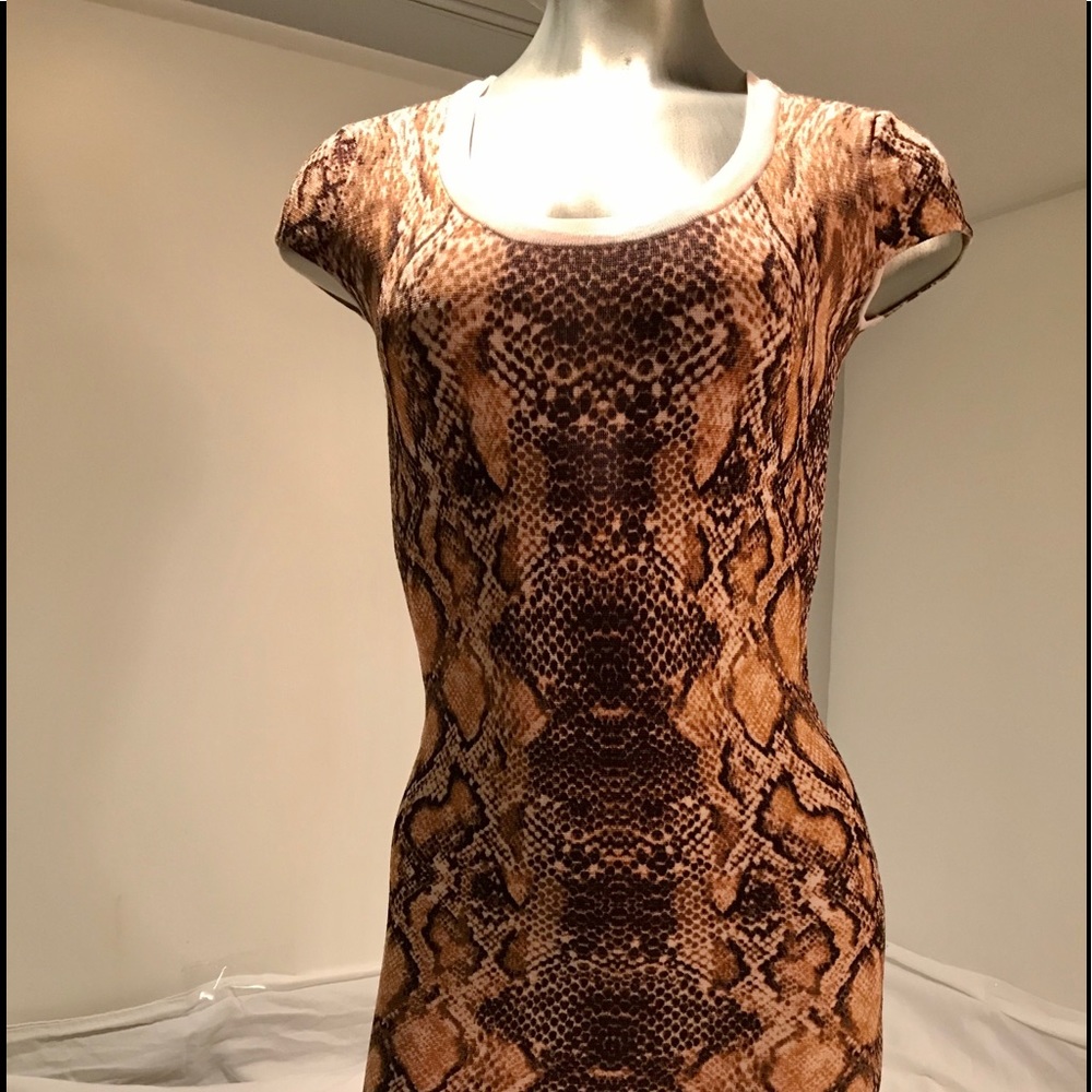 Cache Snake designed fitted dress